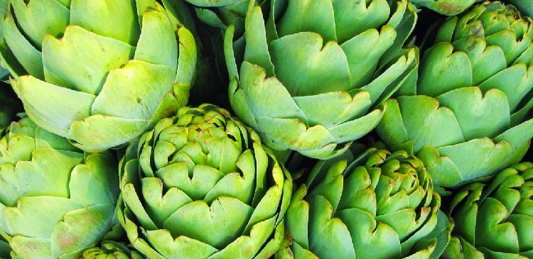 Enginar Yetiştiriciliği Nasıl Yapılır?