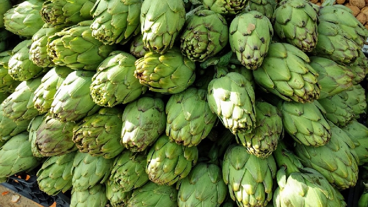 Enginar Yetiştiriciliği Nasıl Yapılır?