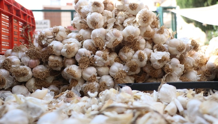 Sarımsağın Faydaları ve Zararları