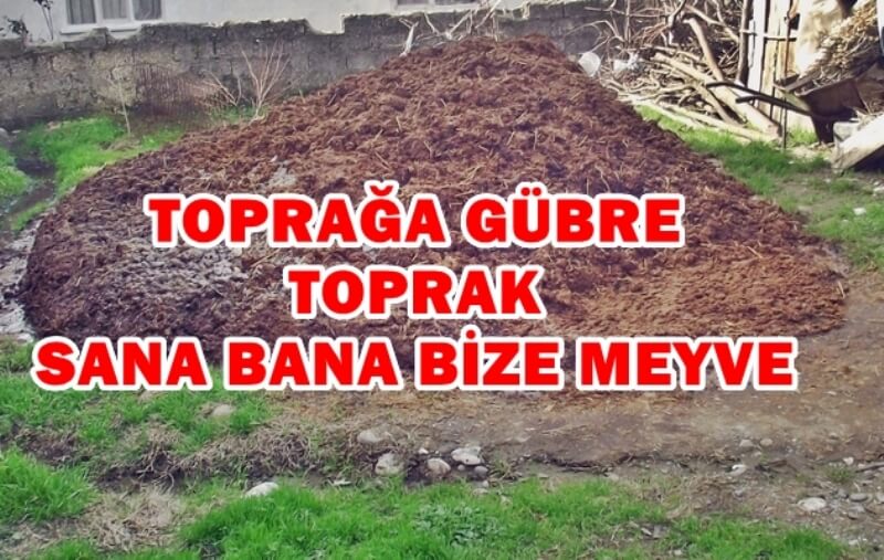 Tavuk Gübresi Ve Önemi