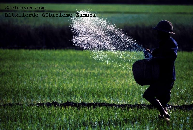 gübreleme