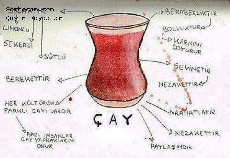 Çayın Faydaları