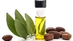 Jojoba Yağı Faydaları Ve Zararları Nelerdir?