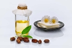 Jojoba Yağının Faydası Ve Zararı Nelerdir?
