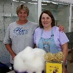 Angora Tavşanı Nasıl Yetiştirilir?