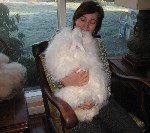 Angora Tavşanı Nasıl Yetiştirilir?