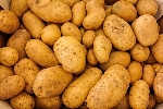 Patates Gübrelemesi Nasıl Yapılır?