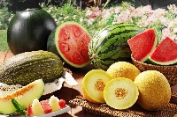 Bostan Gübrelemesi Nasıl Yapılır? Bostan Gübrelemesi Nasıl Yapılır?