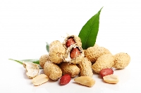 Yerfıstığı Gübrelemesi Nasıl Yapılır?