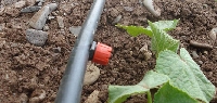 Damlama Sulama Sisteminin Yararları Nelerdir? Damlama Sulama Sisteminin Yararları Nelerdir?