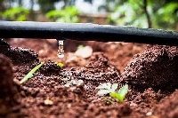 Damlama Sulama Nedir, Faydaları Nelerdir?