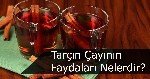 Tarçın Çayının Faydaları Ve Zararları Nelerdir?