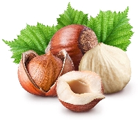 Fındık Meyvesi Faydaları Ve Zaraları Nelerdir?