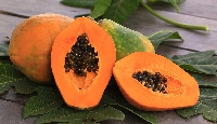 Papaya (Carica Papaya) Meyvesi Nedir?
