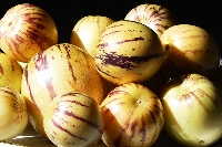 Marul Yetiştiriciliği Nasıl Yapılır? Marul Yetiştiriciliği Nasıl Yapılır?