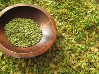 Yazlık Ve Kışlık Mercimek Tarımı Nasıl Yapılır?