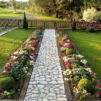 Dış Mekan Süs Bitkileri Nelerdir?