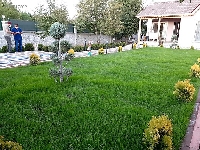 Çim Yetiştiriciliği Nasıl Yapılır? Adım Adım Çim Ekimi Ve Bakımı