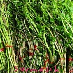 Yabancı Otlara Karşı İlaç Listesi Yabancı Otlara Karşı İlaç Listesi