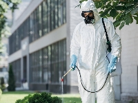 Bina Ve Site İlaçlamalarında Nelere Dikkat Etmek Gerekir?