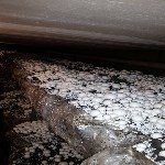 Kültür Mantarı Yetiştiriciliği Nasıl Yapılır?