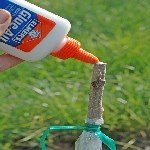 3 Dilim Kabuk Kalem Aşısı Ne Zaman Ve Nasıl Yapılır? 3 Dilim Kabuk Kalem Aşısı Ne Zaman Ve Nasıl Yapılır?