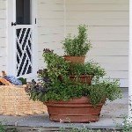 Saksı Kulesi Nedir?