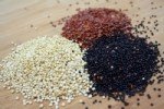 Kinoa (Quinoa) Yetiştiriciliği Nasıl Yapılır?