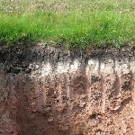 Kireçli Topraklarda Gübreleme Nasıl Olmalıdır? Kireçli Topraklarda Gübreleme Nasıl Olmalıdır?