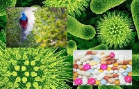 Tarımda Pestisit Kullanımı Ve Güvenli Uygulama Yöntemleri Tarımda Pestisit Kullanımı Ve Güvenli Uygulama Yöntemleri