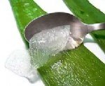 Aloe Vera Faydası Ve Zararı Nelerdir?