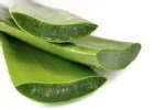 Aloe Vera Faydası Ve Zararı Nelerdir?