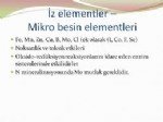 Mikro Besin Elementleri Nelerdir?