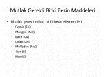 Mikro Besin Elementleri Nelerdir?