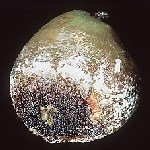 Kurşuni Küf Hastalığı (Botrytis Cinerea)