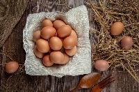 Yumurta Kalitesini Artırmanın Yolları