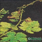 Bitkilerde Bor Noksanlığı Belirtileri Nelerdir?