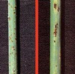 Buğday Pas Hastalıkları Belirtileri, Nedenleri Ve Mücadele Yöntemleri