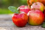 Elma Meyvesi Faydaları Ve Zararları Nelerdir?