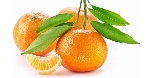 Portakal Meyvesi Faydaları Ve Zararları Nelerdir?