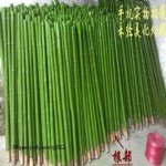 Bambu Ağacı Nedir? Bambu Ağacı Nedir?