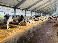 Çiftlik İçin İş Gücü Planlaması Ve Yönetimi