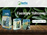 Fasulye Yetiştiriciliği Nasıl Yapılır? Fasulye Yetiştiriciliği Nasıl Yapılır?
