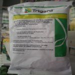 Trigard 75 Wp İnsektisit (Böcek İlacı)