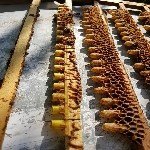 Arıcılıkta Kullanılan En Önemli Araç Ve Gereçler Nelerdir?