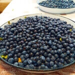 Çakaleriği Faydaları Ve Zararları Nelerdir?