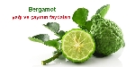 Bergamut Yağının Faydaları Ve Zararları Nelerdir?