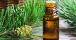 Çam Terebentin Yağının Faydaları Ve Zararları Nelerdir?