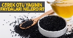 Çörekotu Yağı Faydaları Ve Zararları Nelerdir?