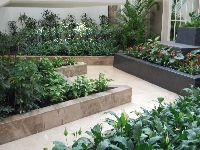 Peyzaj Tasarımında İç Mekan Bitkilerinin Önemi